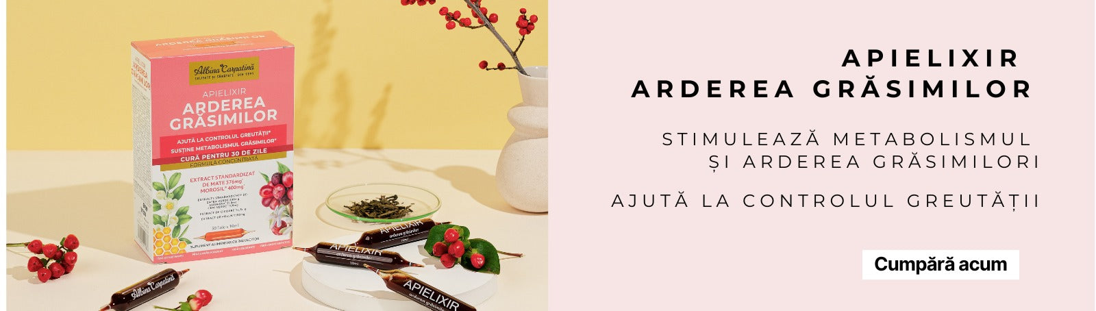 Apielixir Arderea grăsimilor