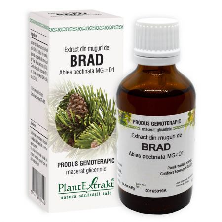 EXTRACT DIN MUGURI DE BRAD 50 ML PLANT EXTRAKT