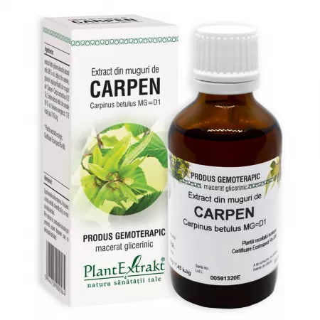 EXTRACT DIN MUGURI DE CARPEN, 50 ML, PLANT EXTRAKT