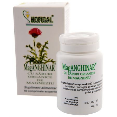 MAGANGHINAR 60 COMPRIMATE HOFIGAL